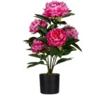 Plante artificielle 'pivoine', (H)550 mm