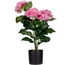 Plante artificielle 'hortensia', (H)550 mm, rose