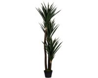 Plante artificielle 'yucca', hauteur: 600 mm