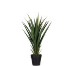 Plante artificielle 'yucca', hauteur: 600 mm