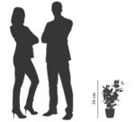 Plante artificielle 'rosier', (H)540 mm