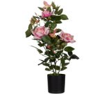 Plante artificielle 'rosier', (H)540 mm