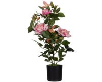 Plante artificielle 'rosier', (H)540 mm