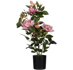 Plante artificielle 'rosier', (H)540 mm, rose