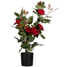 Plante artificielle 'rosier', (H)540 mm, rouge