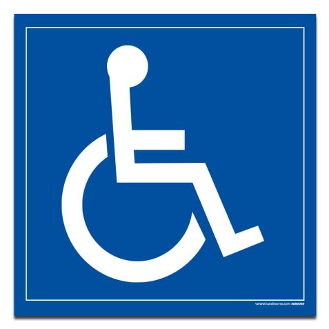 Plaque magnétique pour véhicule handicapé