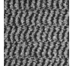 Tapis d'accueil économique  60x80 cm - Gris