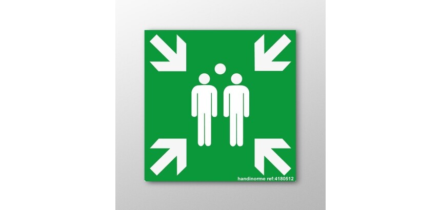 Pictogramme ISO EN 7010 - Point de rassemblement après évacuation - E007