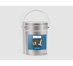 Décap' sol - décapant de peinture  - 1