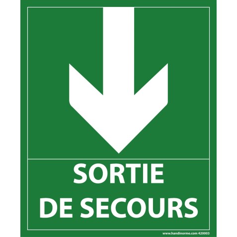 Panneau sortie de secours- flèche bas - 300 x 250 mm