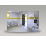 Miroir pour sanitaire incassable PLEXICHOK