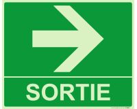 Panneau sortie fleche droite 300 x 250 mm Photoluminescent  - PVC
