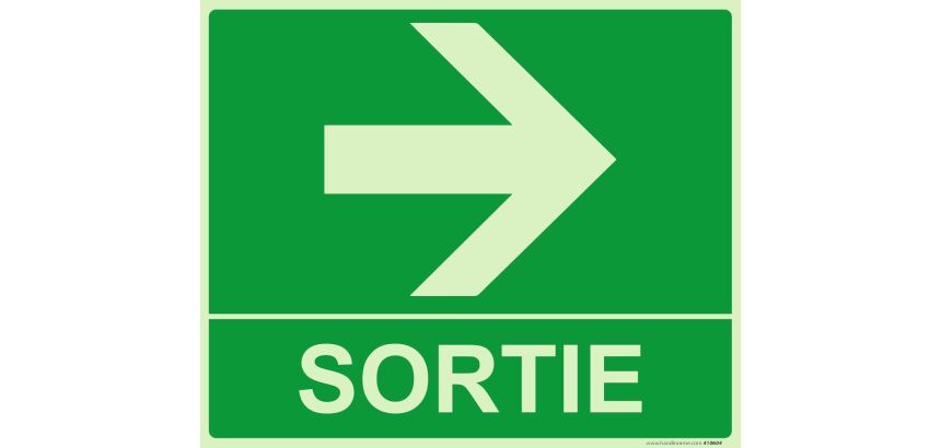 Panneau sortie fleche droite 300 x 250 mm Photoluminescent