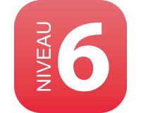 Plaque en drapeau PLEXI - Niveau 6