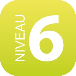 Plaque en drapeau PLEXI - Niveau 6