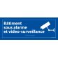 Panneau Bâtiment sous alarme et vidéo-surveillance