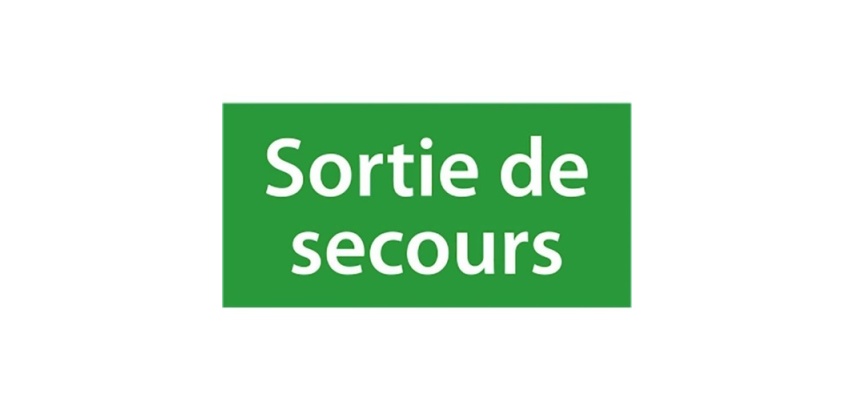 Étiquette pour BAES - Sortie de secours - pour BAES bloc autonome 200 * 100 mm