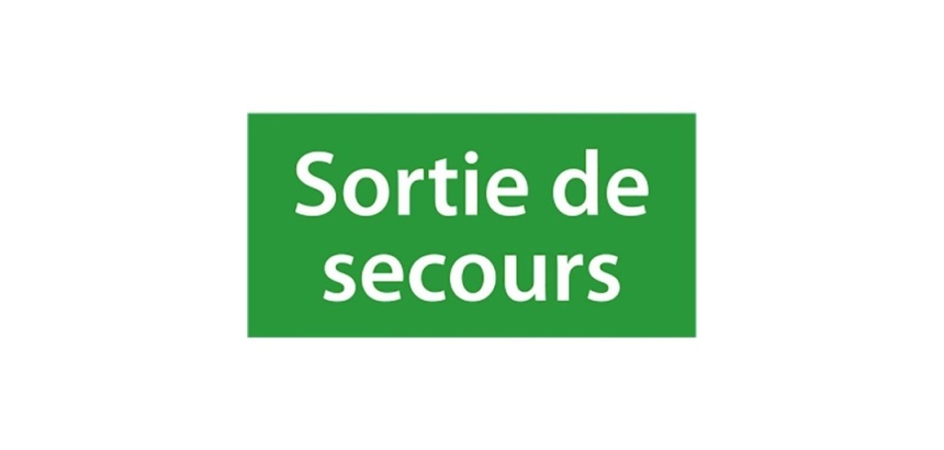 Étiquette pour BAES - Sortie de secours - pour BAES bloc autonome 200 * 100 mm