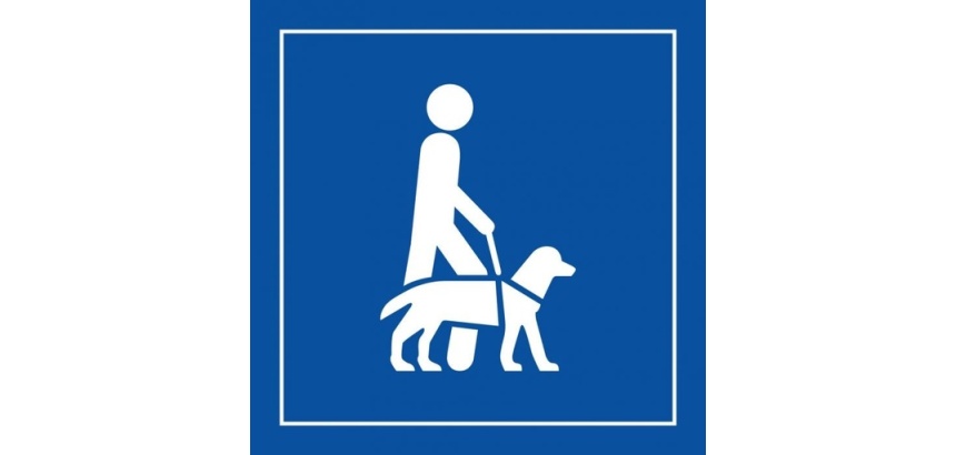 Pictogramme PI PF 046 - Accessibilité, chien guide ou d'assistance - ISO 7001