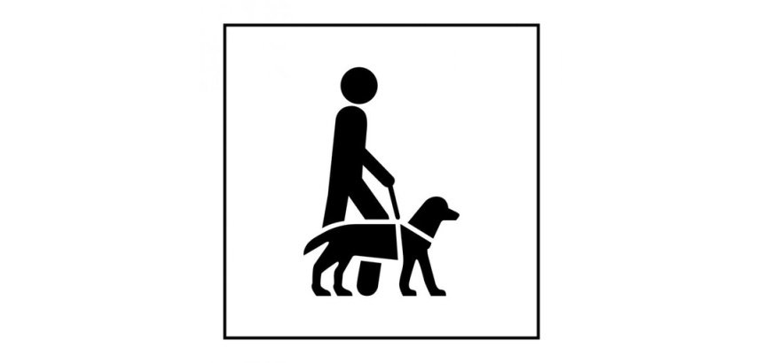 Pictogramme PI PF 046 - Accessibilité, chien guide ou d'assistance - ISO 7001 en Gravoply