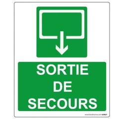 Panneau Sécurité - Sortie de secours - rectangle 300 *250 mm Photoluminescent