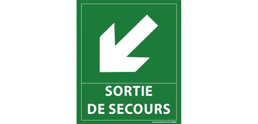 Panneau directionnel - Sortie secours flèche bas gauche - 300x250mm