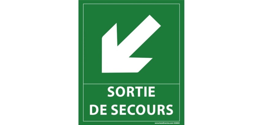 Panneau directionnel - Sortie secours flèche bas gauche - 300x250mm