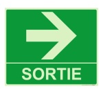 Panneau sortie fleche droite 300 x 250 mm Photoluminescent