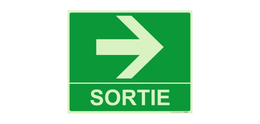 Panneau sortie fleche droite 300 x 250 mm Photoluminescent