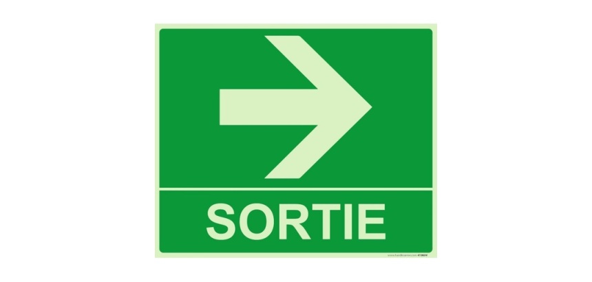 Panneau sortie fleche droite 300 x 250 mm Photoluminescent