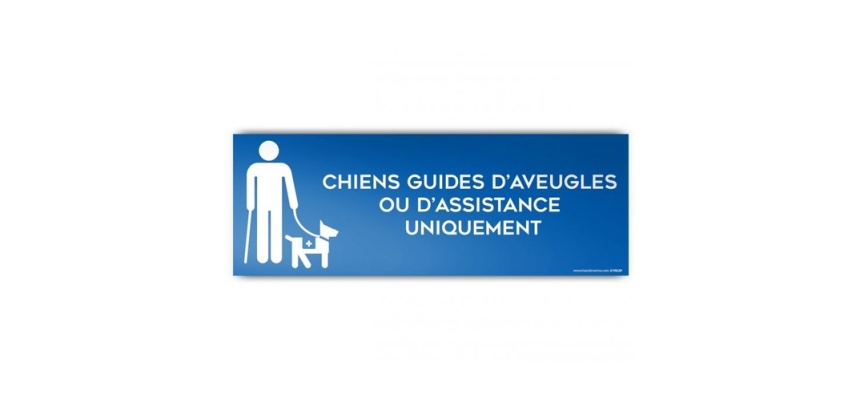 Panneau d'Information : Chiens Guides d'Aveugle ou d'Assistance Uniquement,  (PVC)