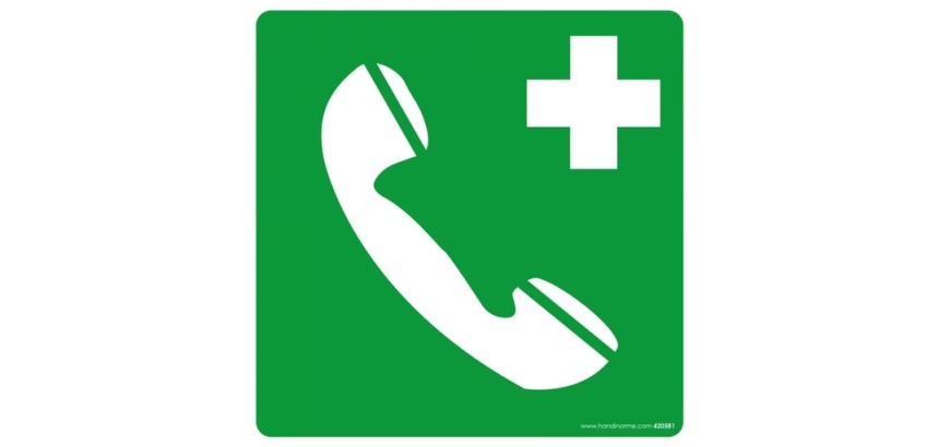 Panneau ISO EN 7010 - Téléphone d'urgence - E004