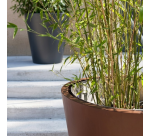 Jardinière PERGA Couleur:Taupe -
