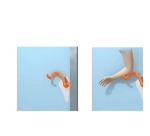 Poignée de porte ULNA