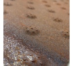 Dalle podotactile en acier corten