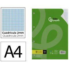 Recambio liderpapel a4 100 hojas 100g/m2 milimetrado 2mm sin margen 4 taladros