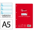 Recambio liderpapel 4º / A5+ pautaguia 100 hojas 75 g cuadriculado pautado 5 mm con margen 6 taladros
