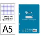 Recambio liderpapel 4º / A5+ pautaguia 100 hojas 75 g cuadriculado pautado 3 mm con margen 6 taladros