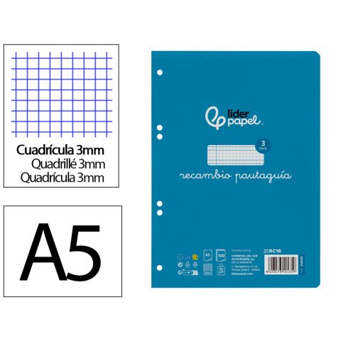 Recambio liderpapel 4º / A5+ pautaguia 100 hojas 75 g cuadriculado pautado 3 mm con margen 6 taladros