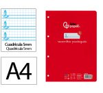 Recambio liderpapel a4 pautaguia 100 hojas 75gr cuadriculado pautado 5mm con margen 4 taladros
