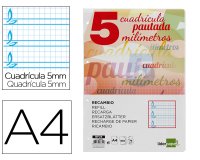 Recambio liderpapel a4 pautaguia 100 hojas 75 g cuadriculado pautado 5mm con margen 4 taladros