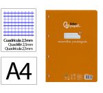 Recambio liderpapel a4 pautaguia 100 hojas 75 g.  Cuadriculado pautado 2,5 mm con margen 4 taladros