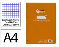 Recambio liderpapel a4 pautaguia 100 hojas 75 g.  Cuadriculado pautado 2,5 mm con margen 4 taladros