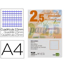 Recambio liderpapel a4 pautaguia 100 hojas 75 g.  Cuadriculado pautado 2,5 mm con margen 4 taladros