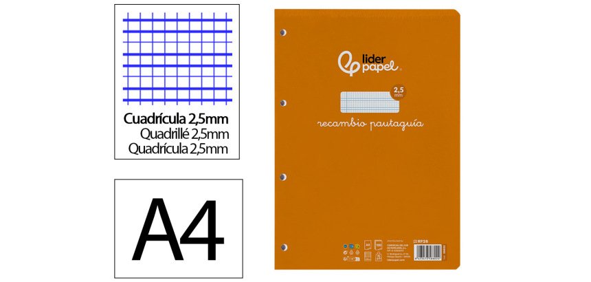 Recambio liderpapel a4 pautaguia 100 hojas 75 g.  Cuadriculado pautado 2,5 mm con margen 4 taladros
