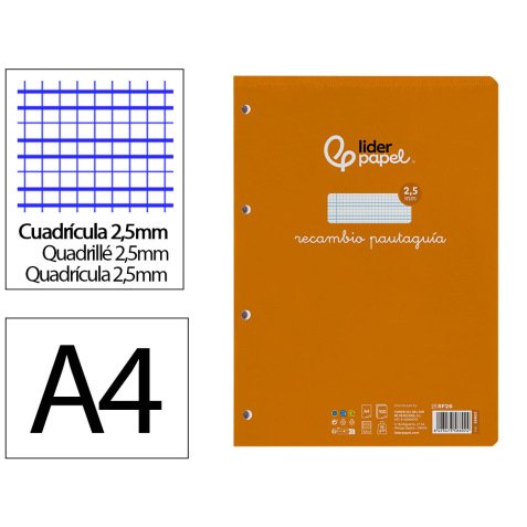 Recambio liderpapel a4 pautaguia 100 hojas 75 g.  Cuadriculado pautado 2,5 mm con margen 4 taladros