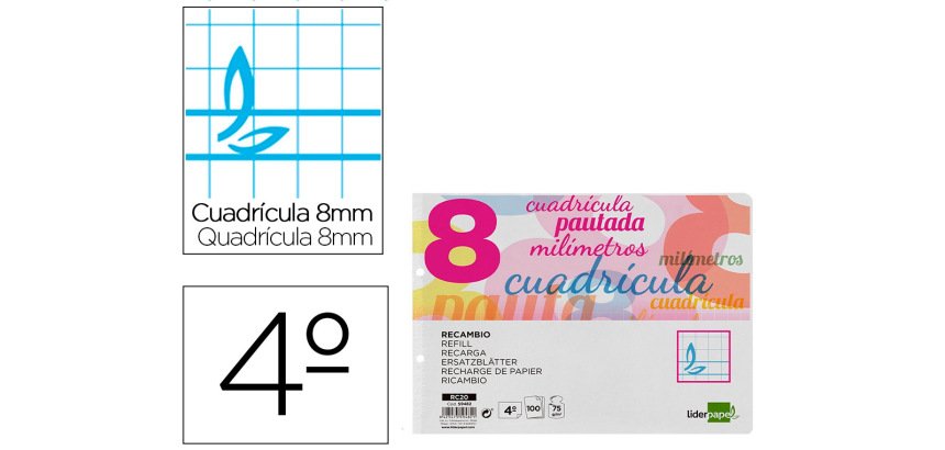 Recambio liderpapel 4º / A5+ apaisado pautaguia 100 hojas 75 g cuadrícula pautado 8 mm con margen 2 taladros