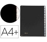 Carpeta clasificadora fuelle pardo carton compacto folio 12 departamentos visor doble personalizables color negro