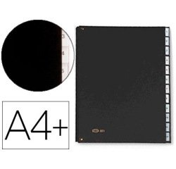 Carpeta clasificadora fuelle pardo carton compacto folio 12 departamentos visor doble personalizables color negro