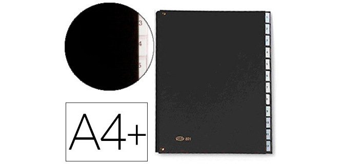 Carpeta clasificadora fuelle pardo carton compacto folio 12 departamentos visor doble personalizables color negro